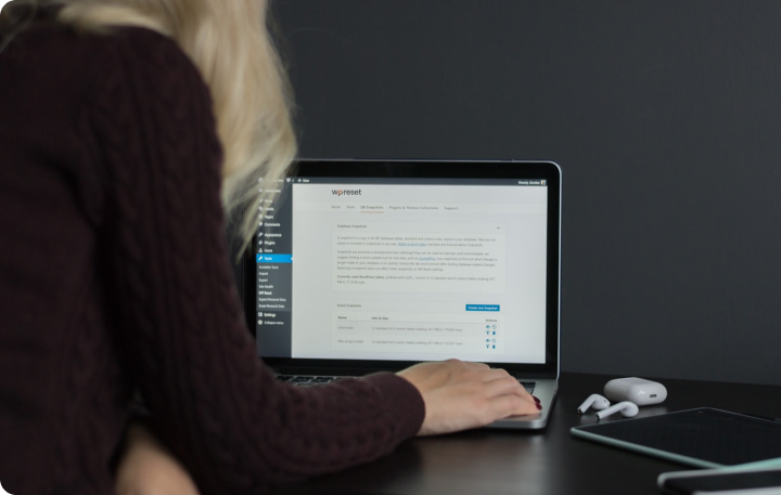 WordPress development preview